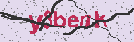 Güvenlik Kodu