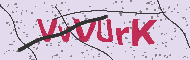 Güvenlik Kodu